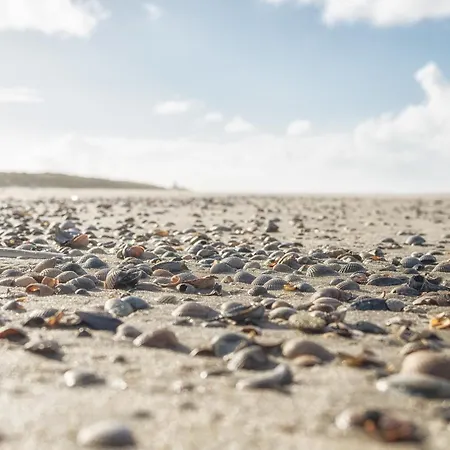 Arche Svea Kiebitz *