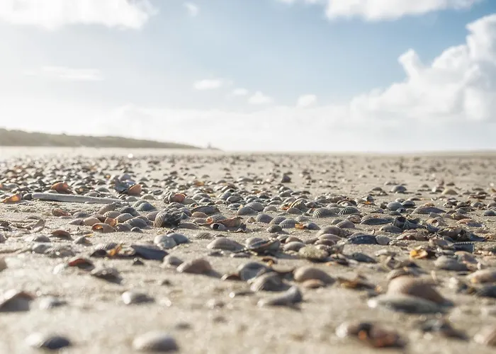 Arche Svea Kiebitz *