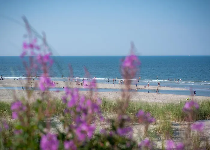 Arche Svea Kiebitz * Шпикерог