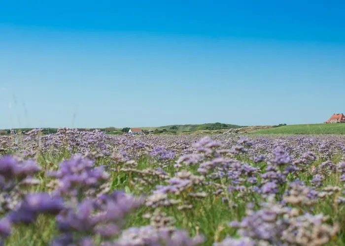 Arche Svea Kiebitz Апартаменты Шпикерог