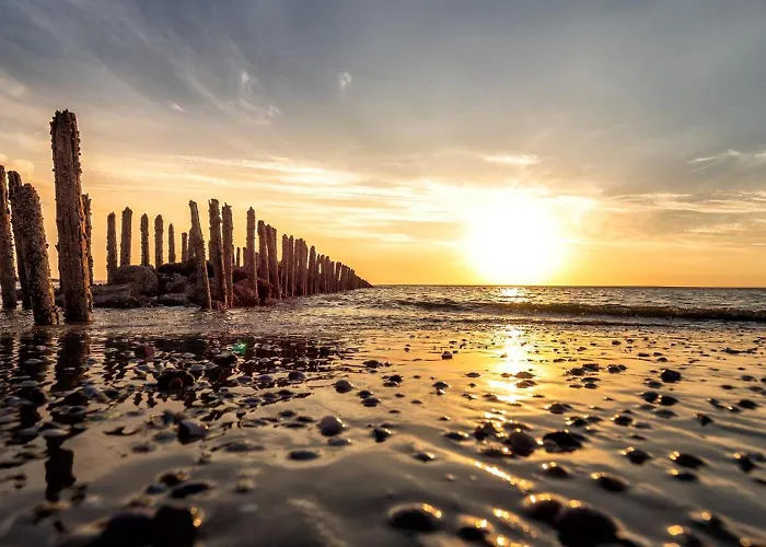 Arche Svea Kiebitz * Шпикерог