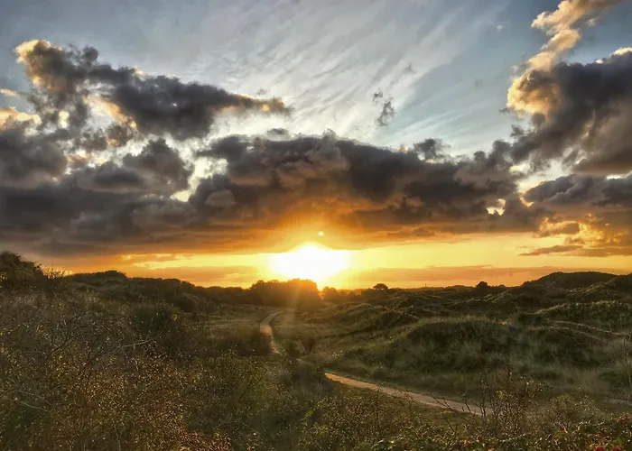 Arche Svea Kiebitz *